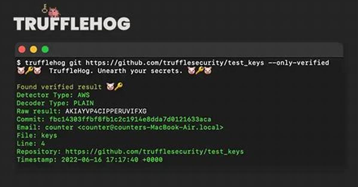 Scanning Specific Branches with Trufflehog in Remote Repositories