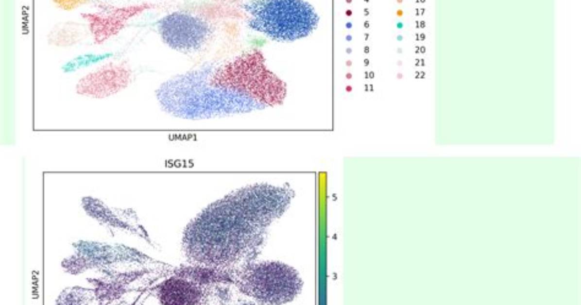Scanpy - Single-Cell Rna Sequencing - Pre-Processing of Individual Vs. Integrated Dataset