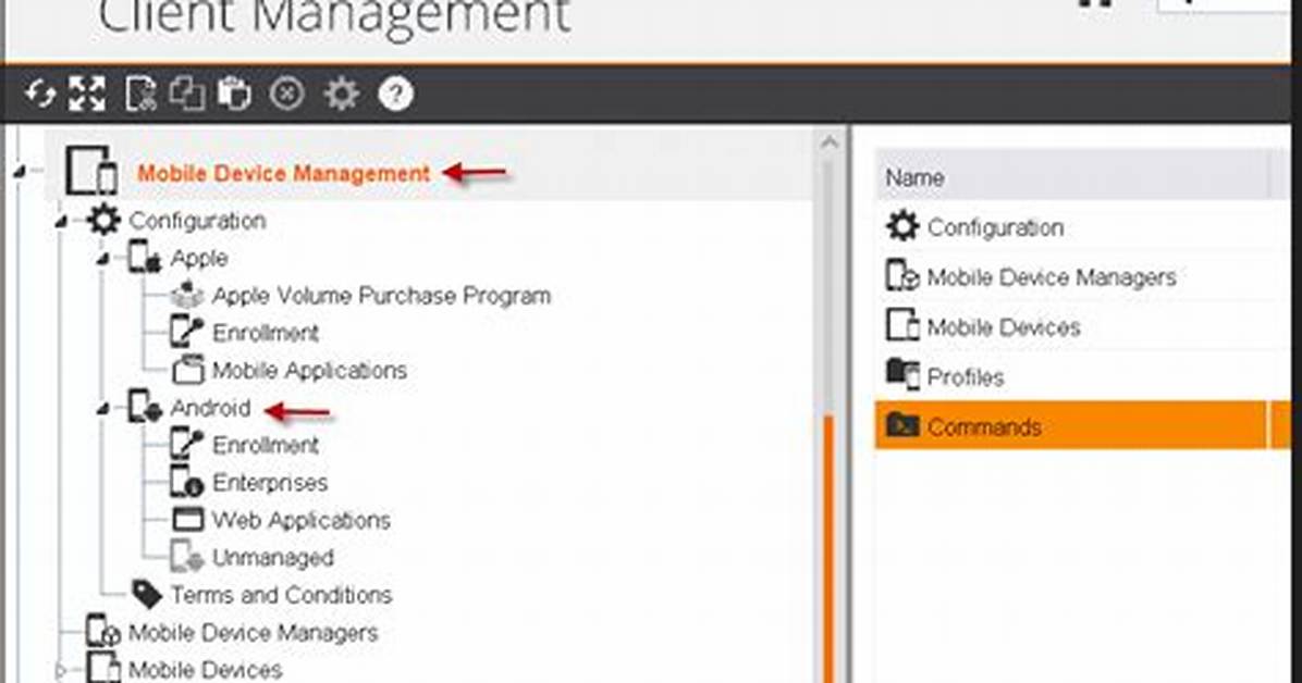 Scap Package - Documentation for Bmc Client Management 21.02