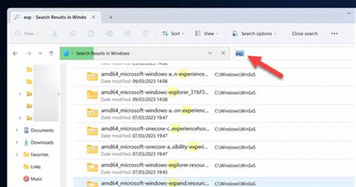 Searching Windows by File Type