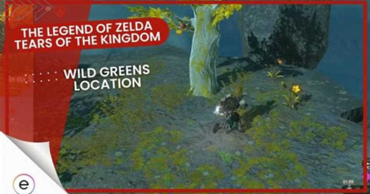Seeking out Wild Greens in Tears of the Kingdom