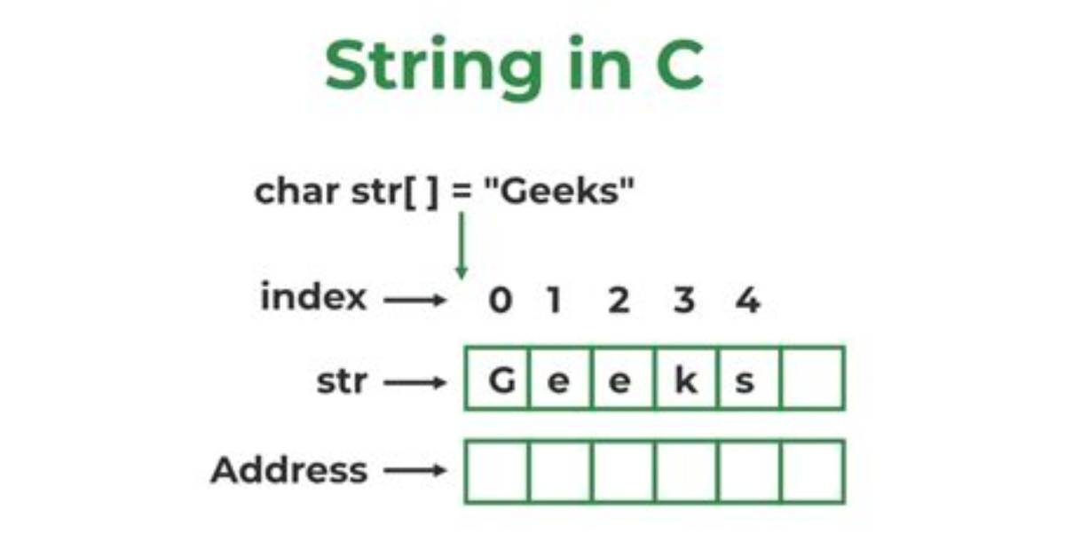 Set String Variable in C from Argv[1]