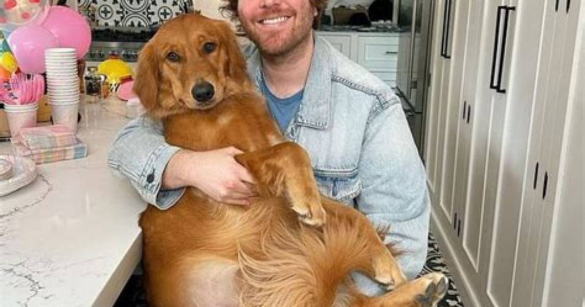 Shane Dawson Net Worth