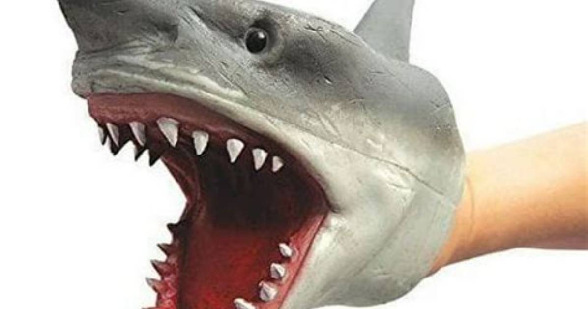 Shark Puppet