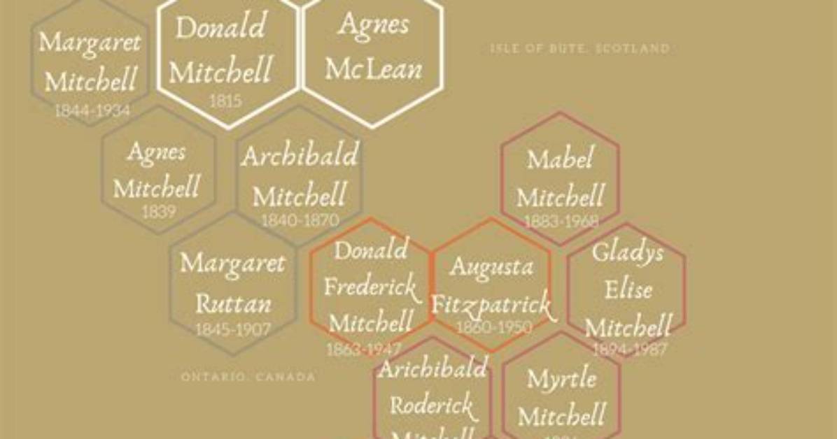 Shay Mitchell – Family, Family Tree
