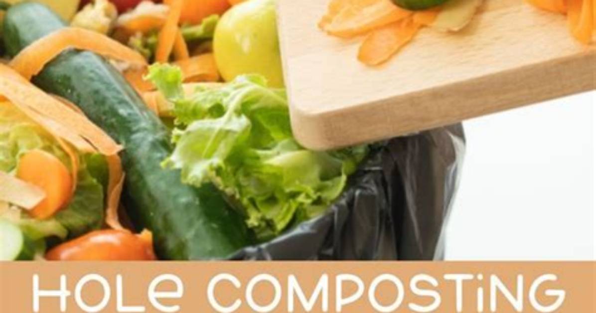 Should a Compost Bin Have a Bottom