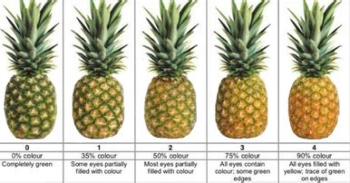 Should a Pineapple Be Green or Yellow?