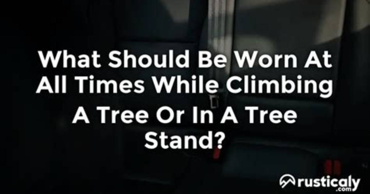 Should Be Worn at All Times While Climbing a Tree and When on a Tree Stand