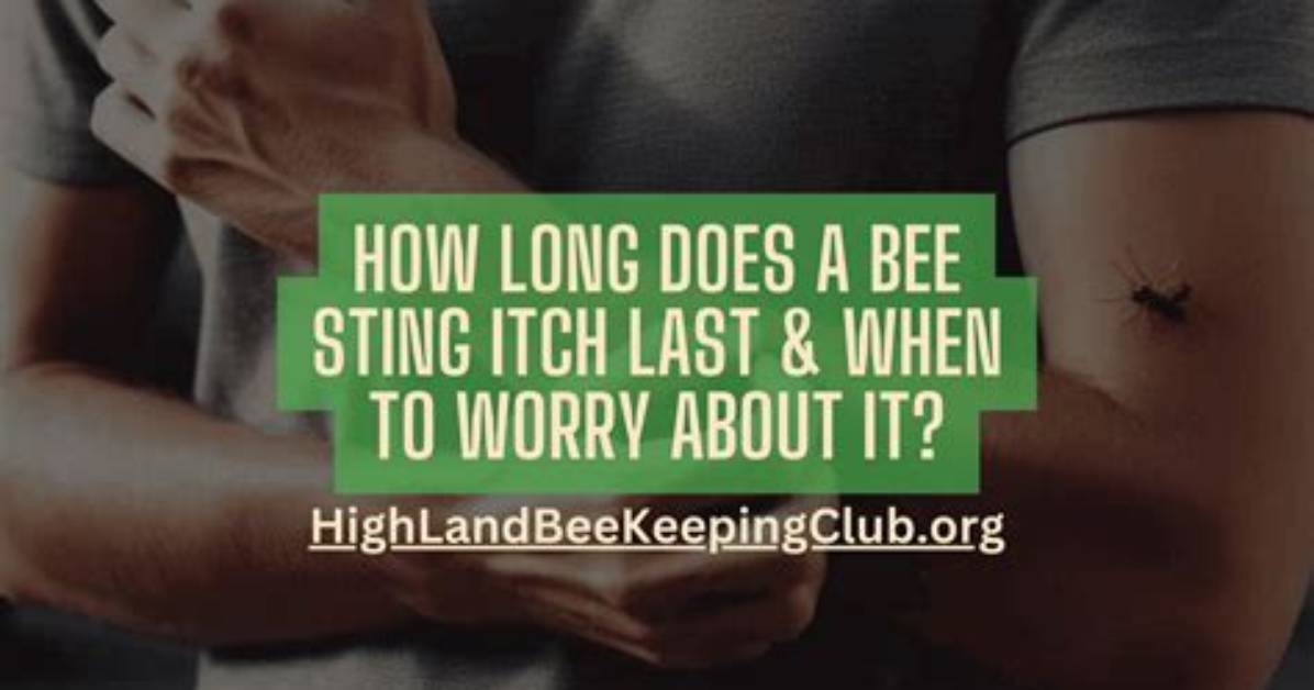 Should Bee Sting Itch?