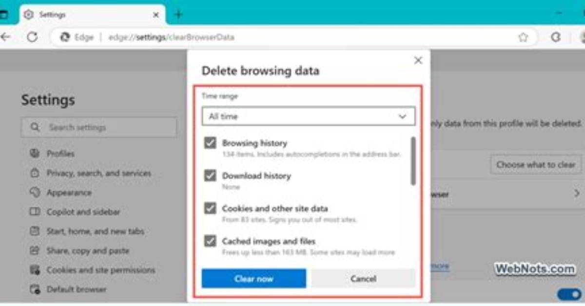 Should Browsing History Be Deleted?