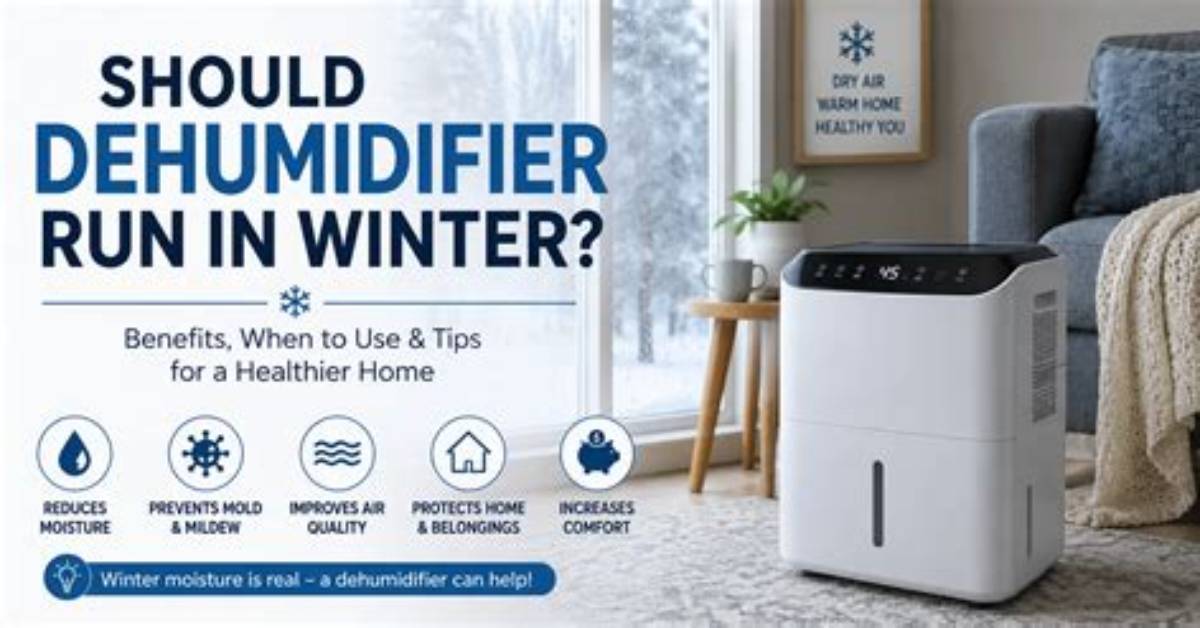 Should Dehumidifier Run in Winter?
