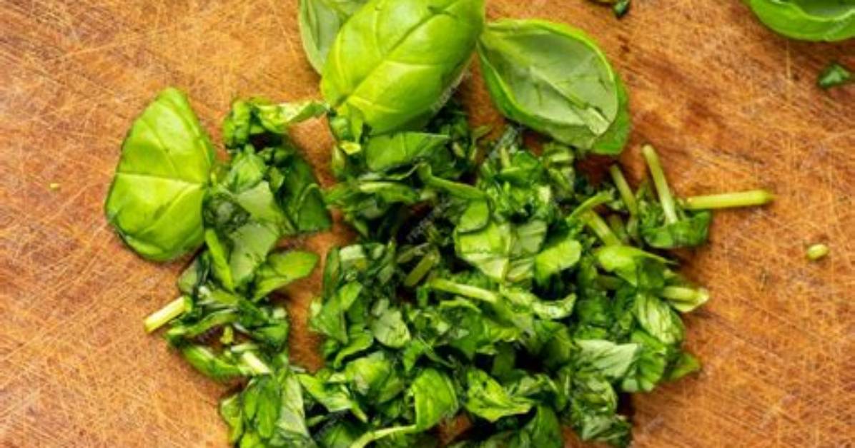 Should Fresh Basil Be Chopped?