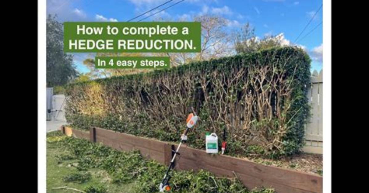 Should Hedges Be Pruned?