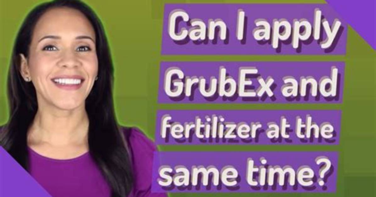 Should I Apply Grubex Before Rain?