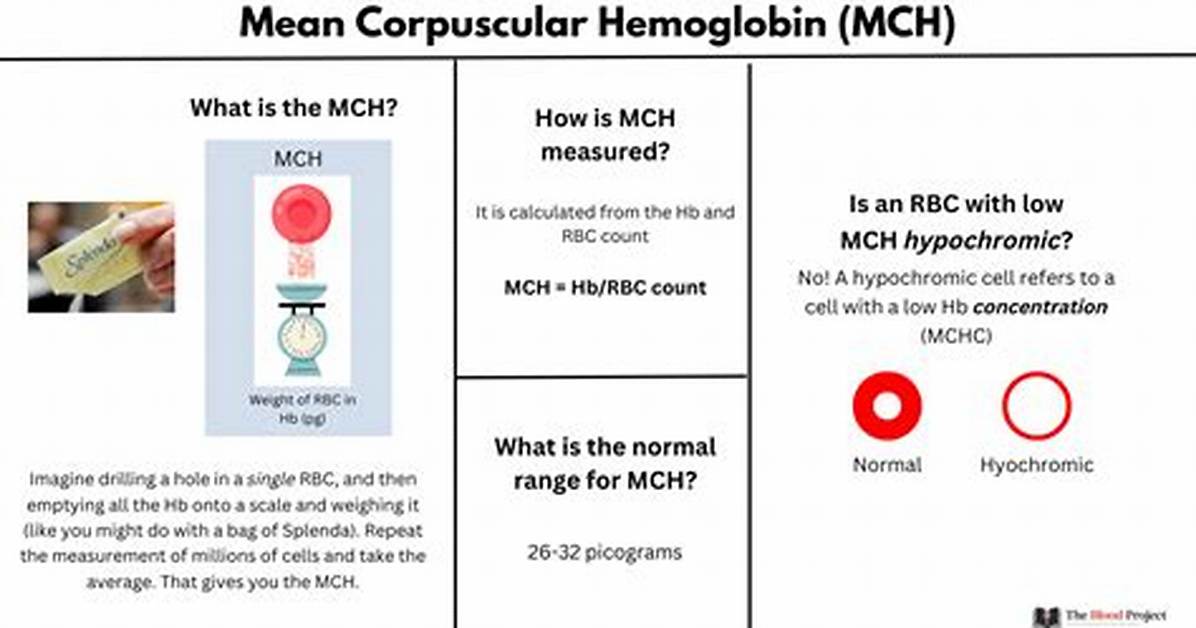 Should I Be Concerned About High Mch?