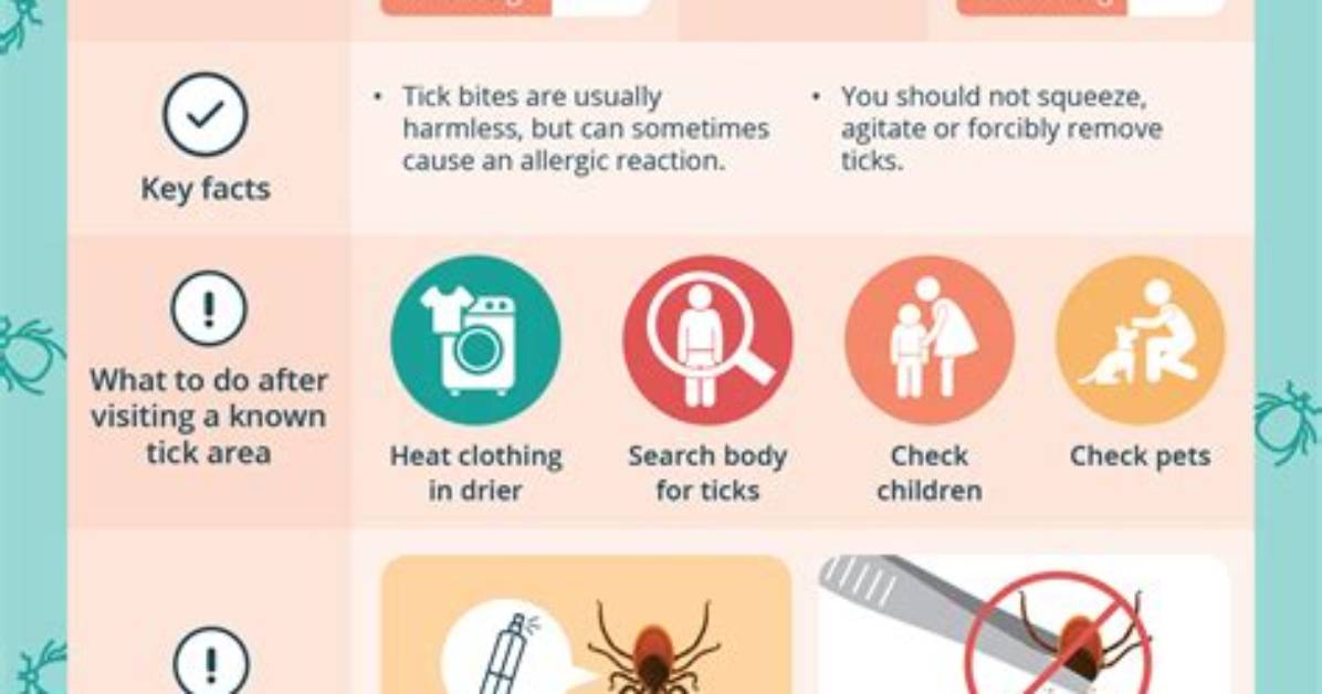 Should I Be Concerned About Ticks?