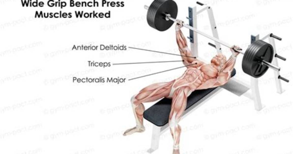 Should I Do Wide Grip Bench Press?