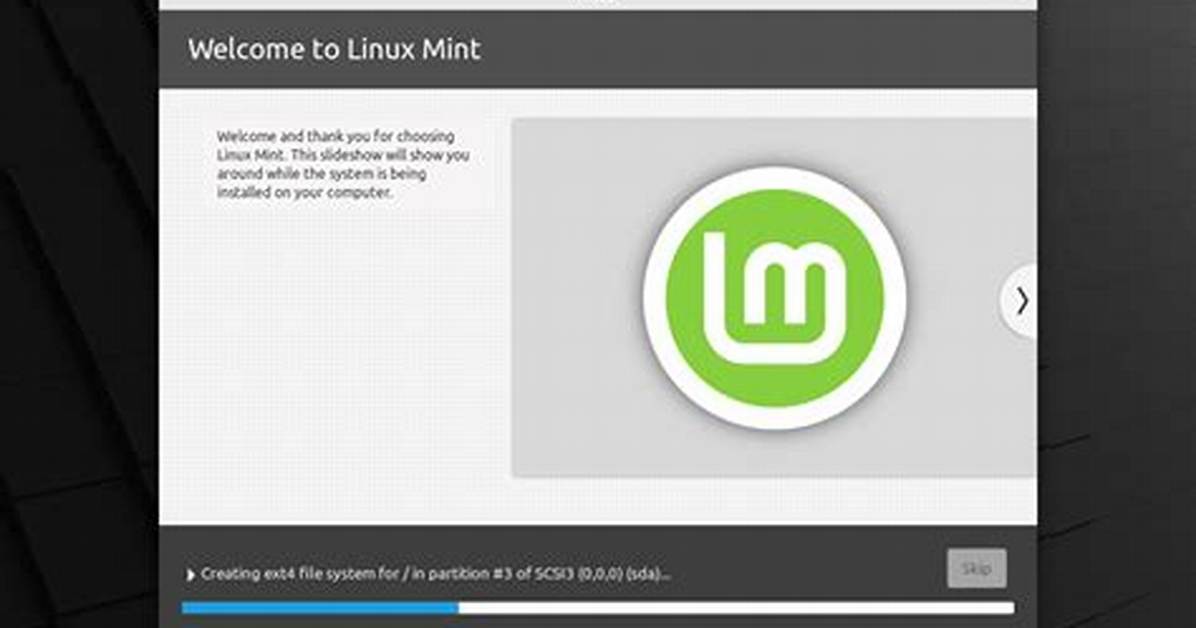 Should I Encrypt Linux Mint Installation?
