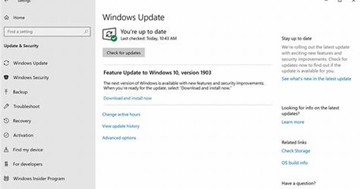 Should I Install Feature Update Windows 10 2004?