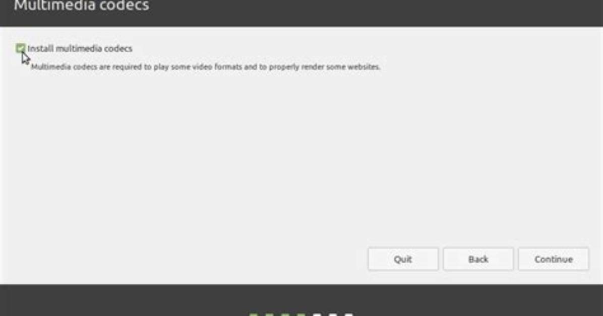 Should I Install Multimedia Codecs Linux Mint?