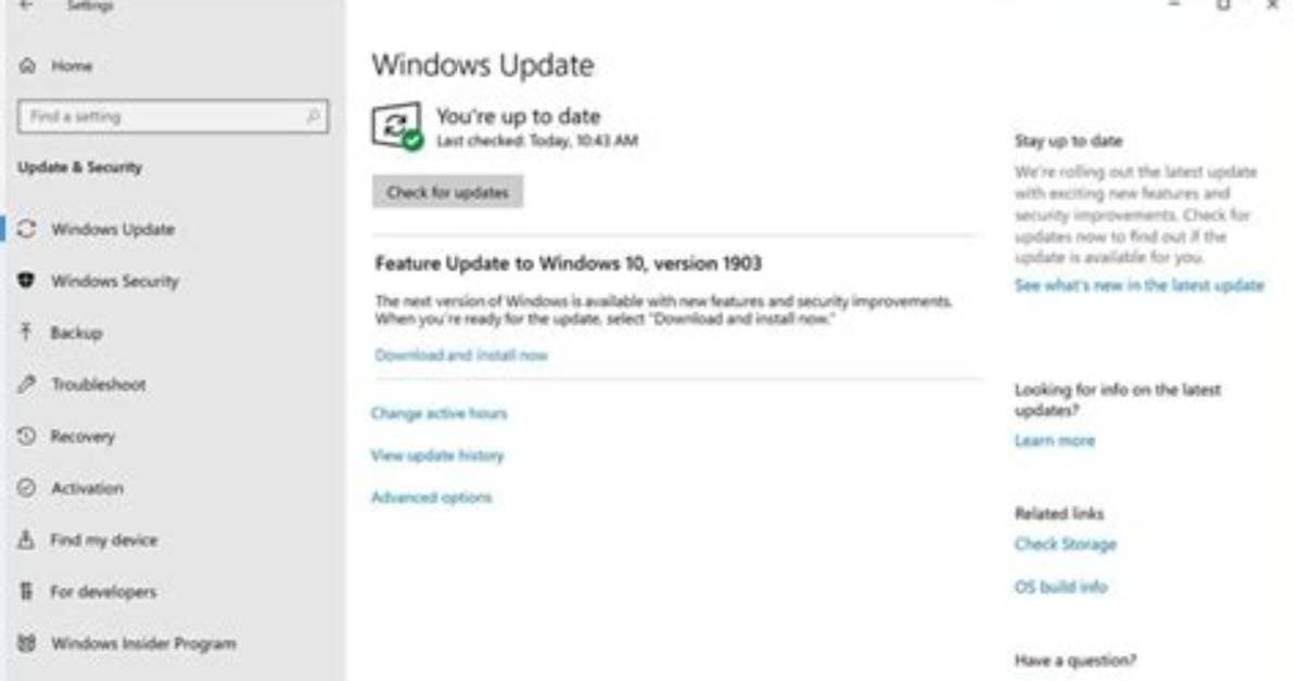 Should I Install Windows 10 Feature Update 1903?