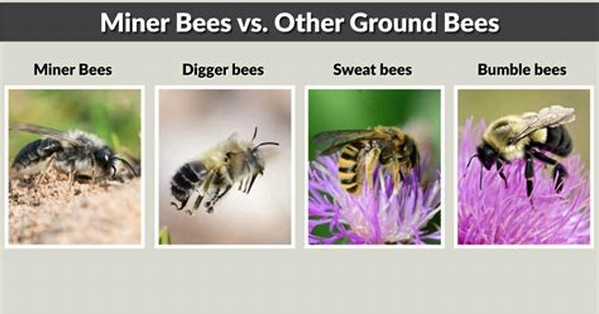 Should I Kill Miner Bees