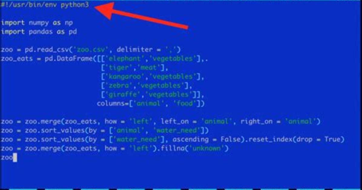 Should I Put #! (Shebang) in Python Scripts, and What Form Should It Take?