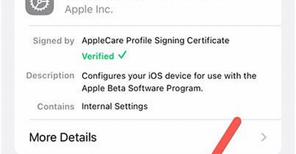 Should I Remove iOS 14 Beta Profile?