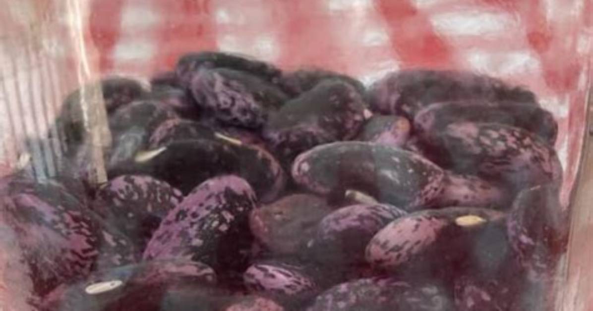 Should I Soak Scarlet Runner Beans Before Planting?