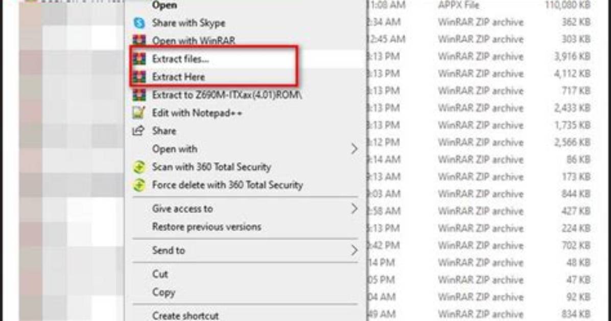 Should I Unzip Bios?