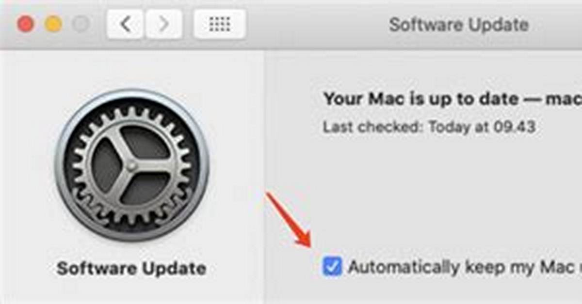 Should I Update My Mac Operating System?