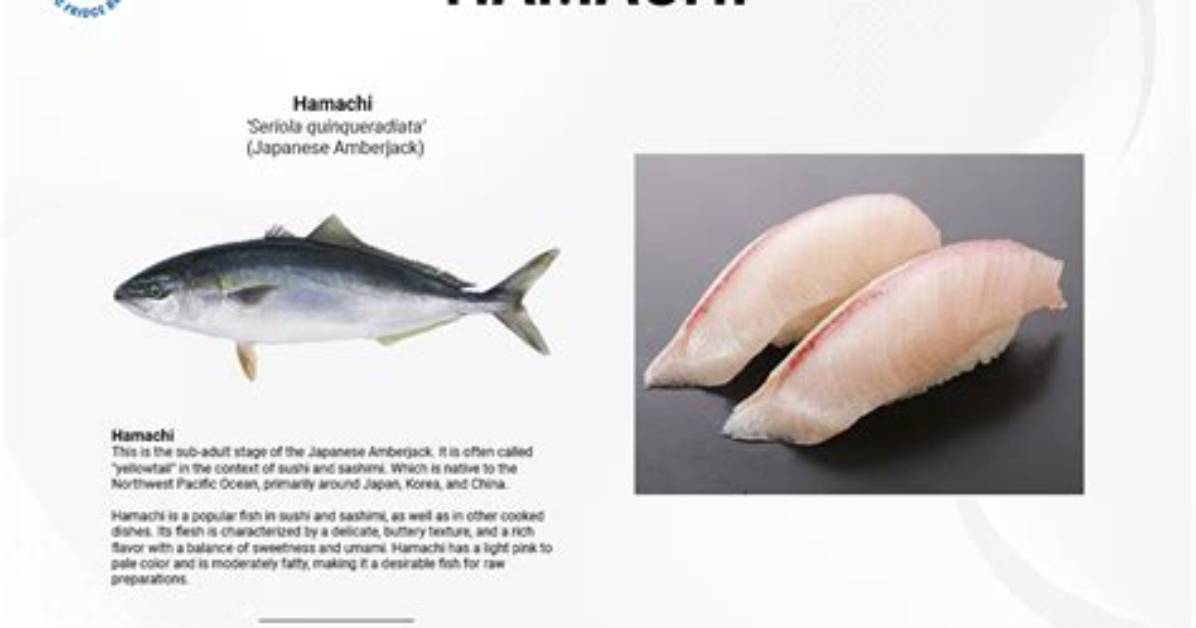 Should I Use Hamachi?