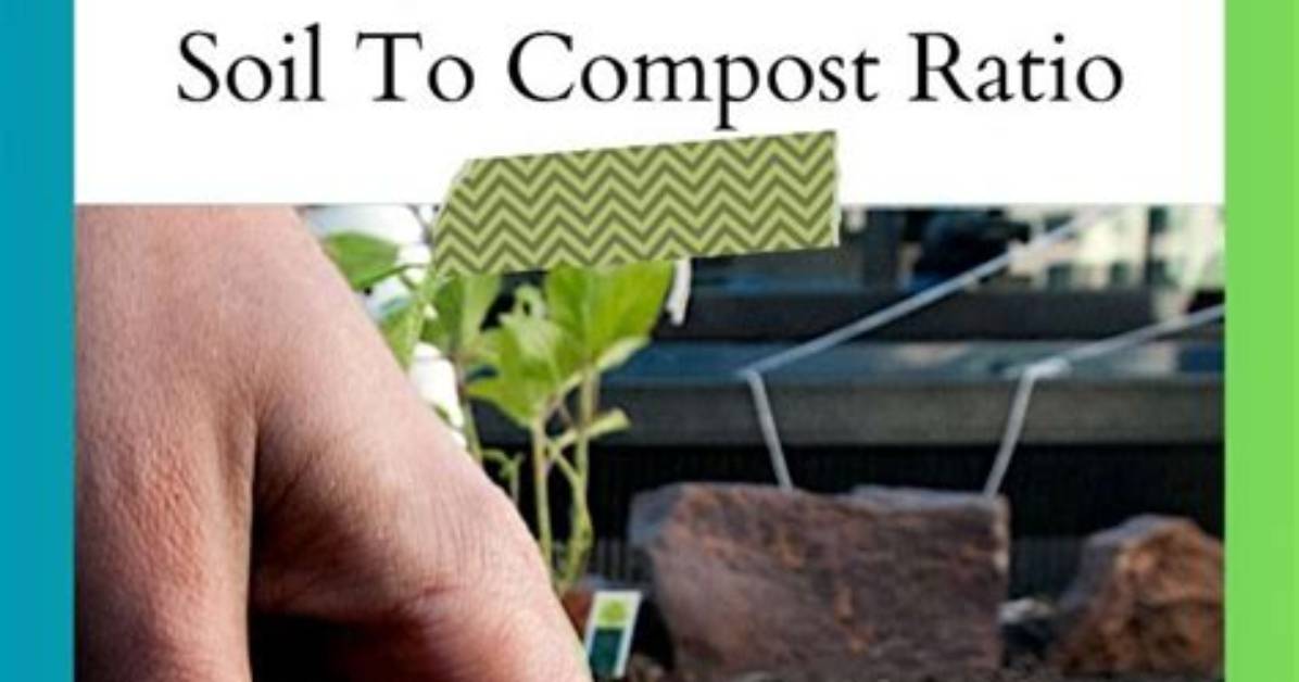 Should I Use Soil or Compost