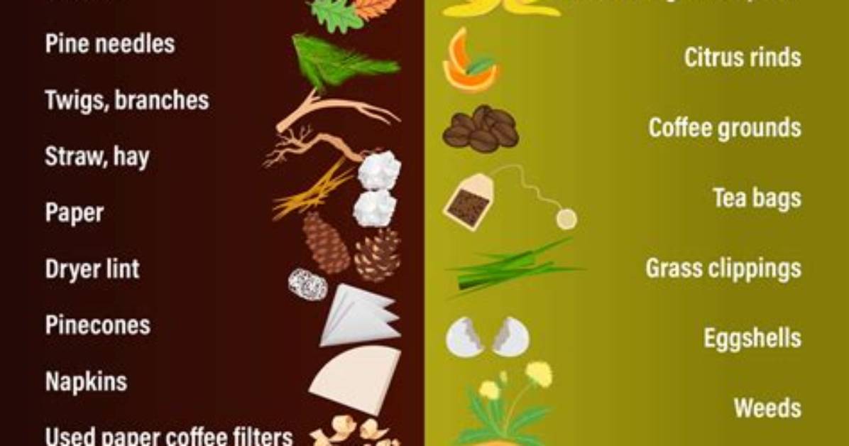 Should Lime Be Added to Compost?
