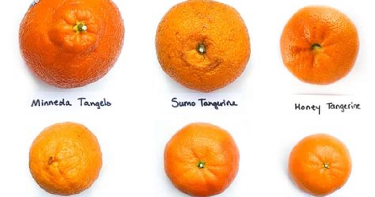 Should Mandarins Be Hard?