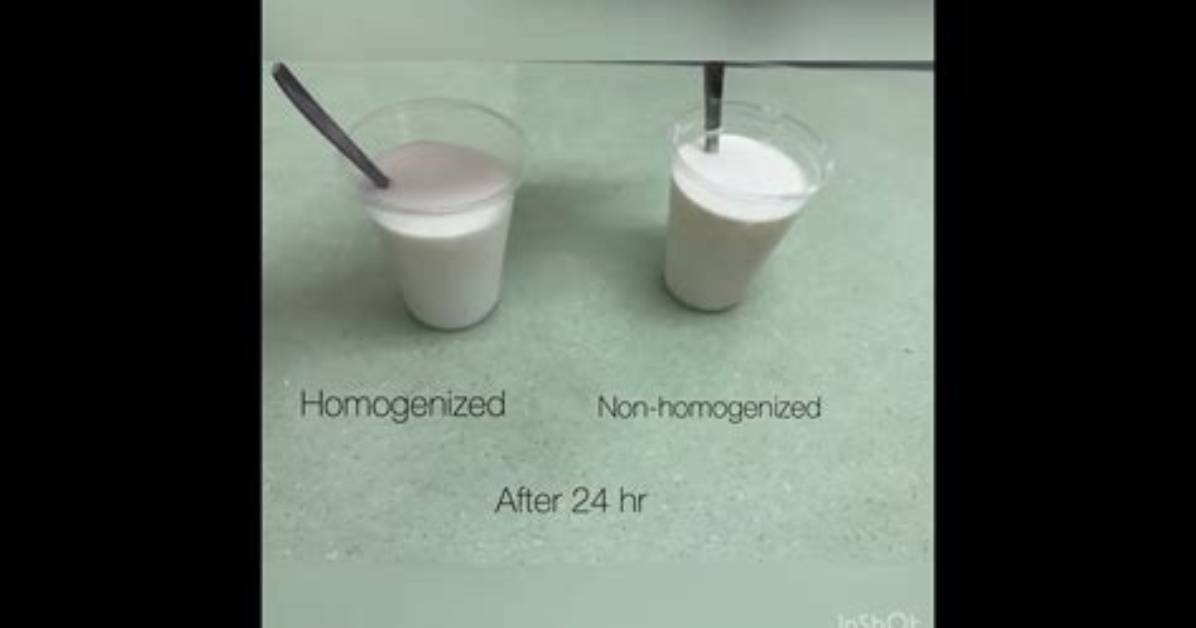 Should Milk Be Homogenized?