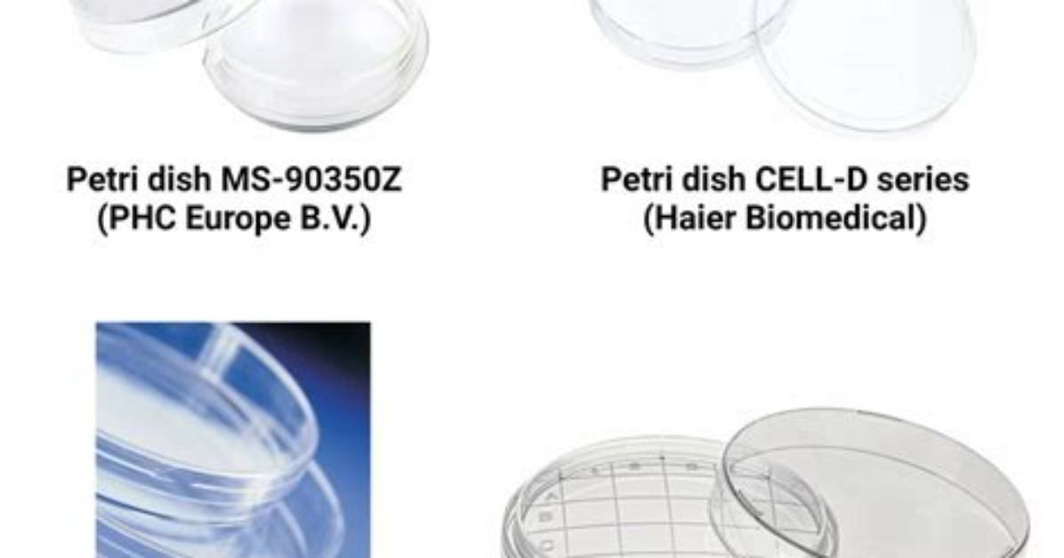 Should Petri Dish Be Capitalized?