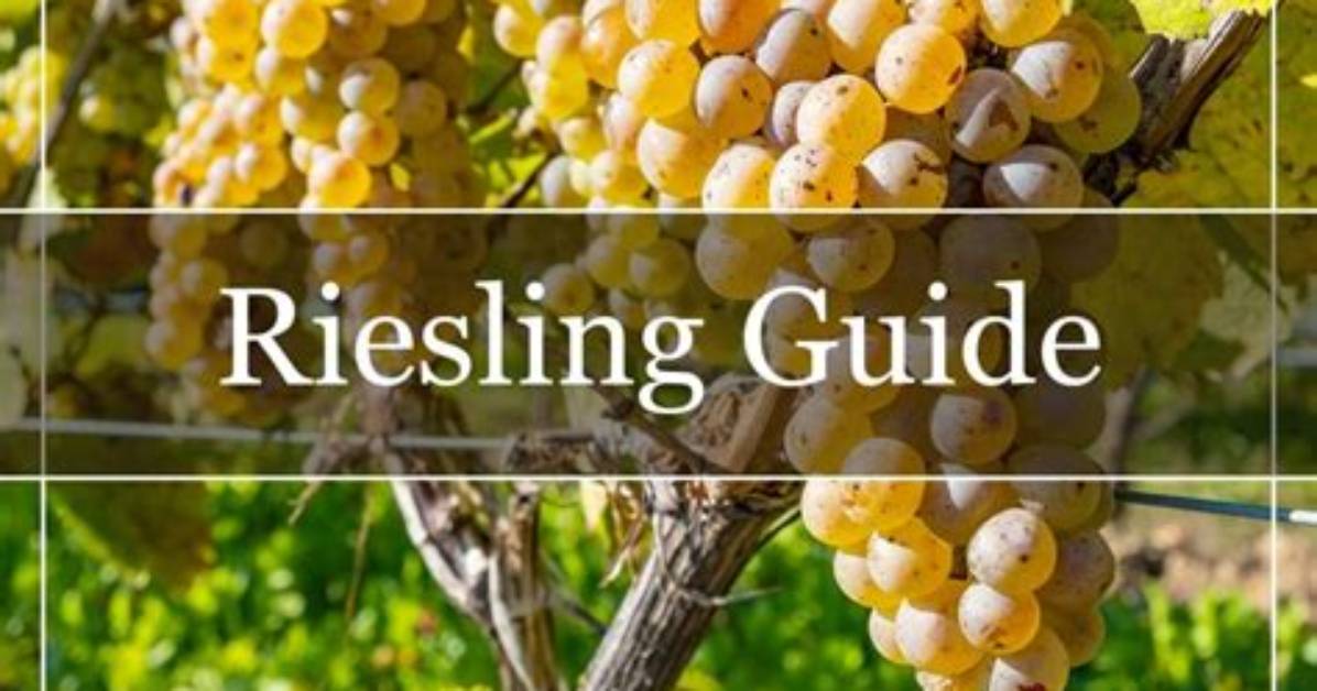 Should Riesling Be Chilled?