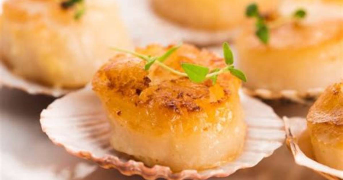 Should Scallops Be Translucent When Cooked?