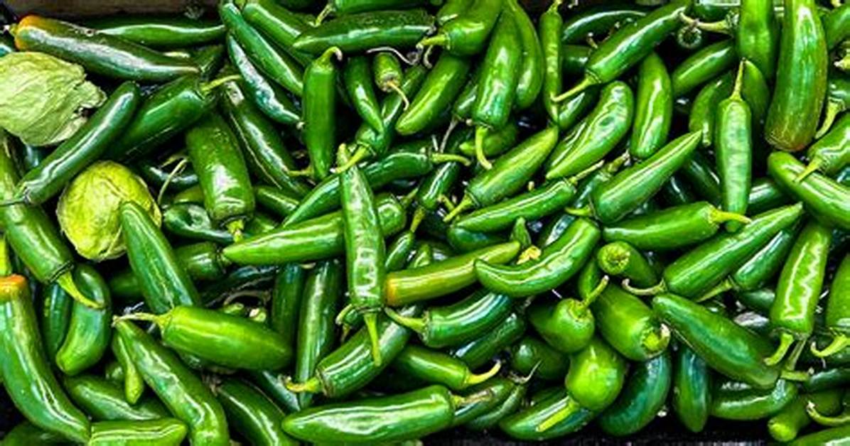 Should Serrano Peppers Be Refrigerated?