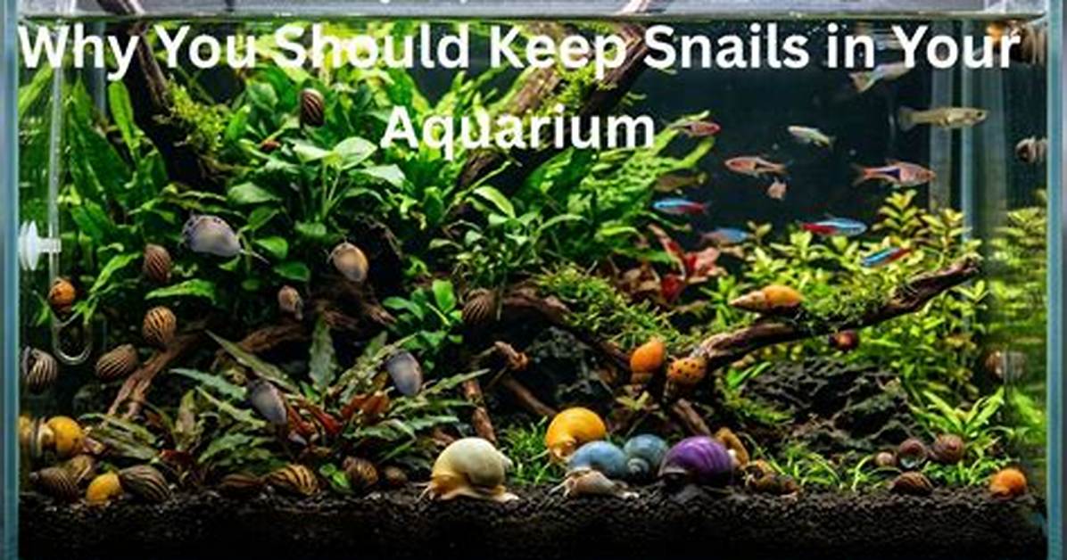 Should Snails Be Quarantined?