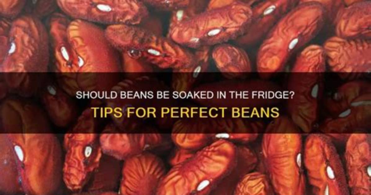 Should Soaked Beans Be Soft?