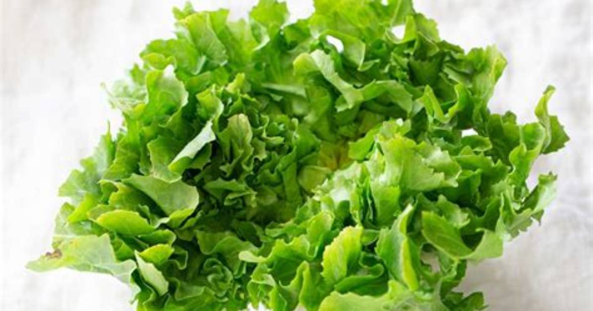 Should You Blanch Escarole?
