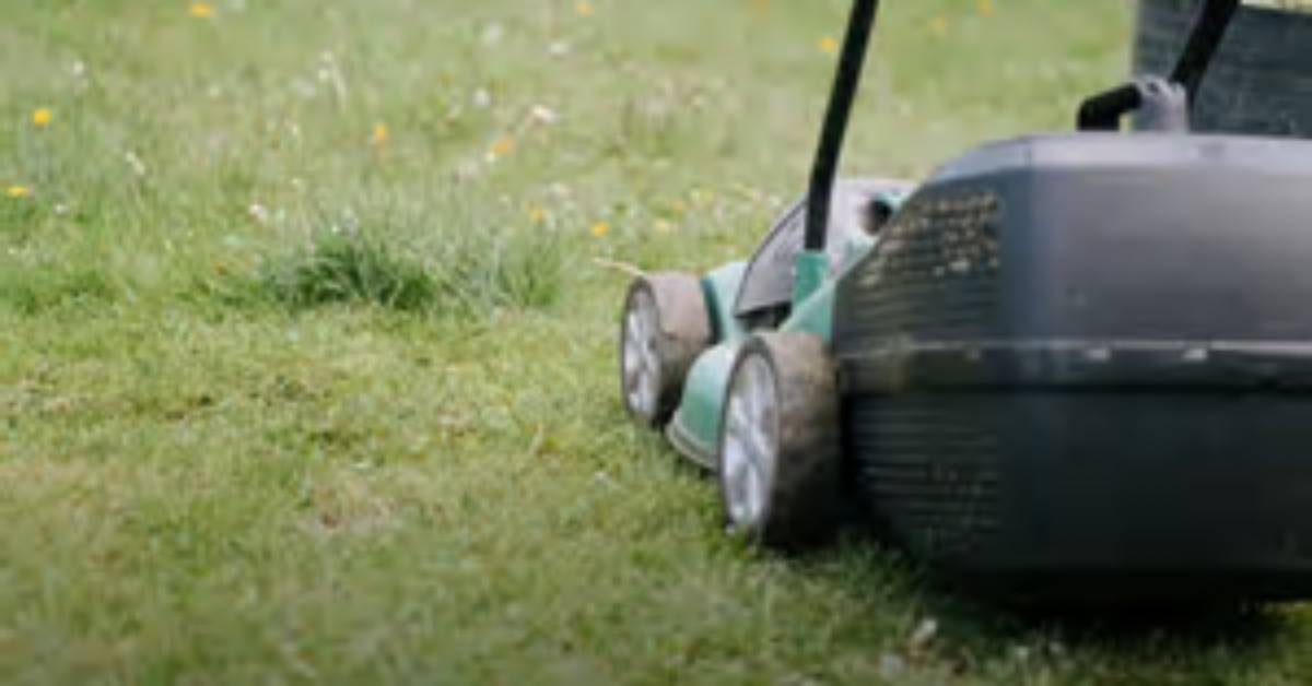 Should You Mow Before Snow
