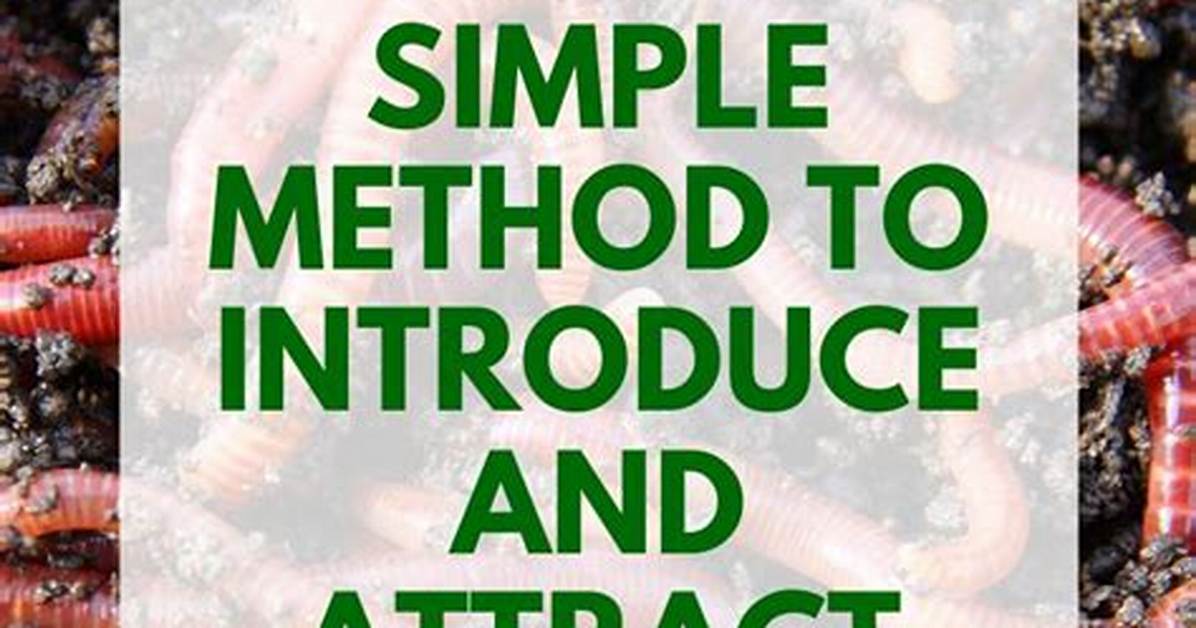 Should You Put Earthworms in Your Garden?