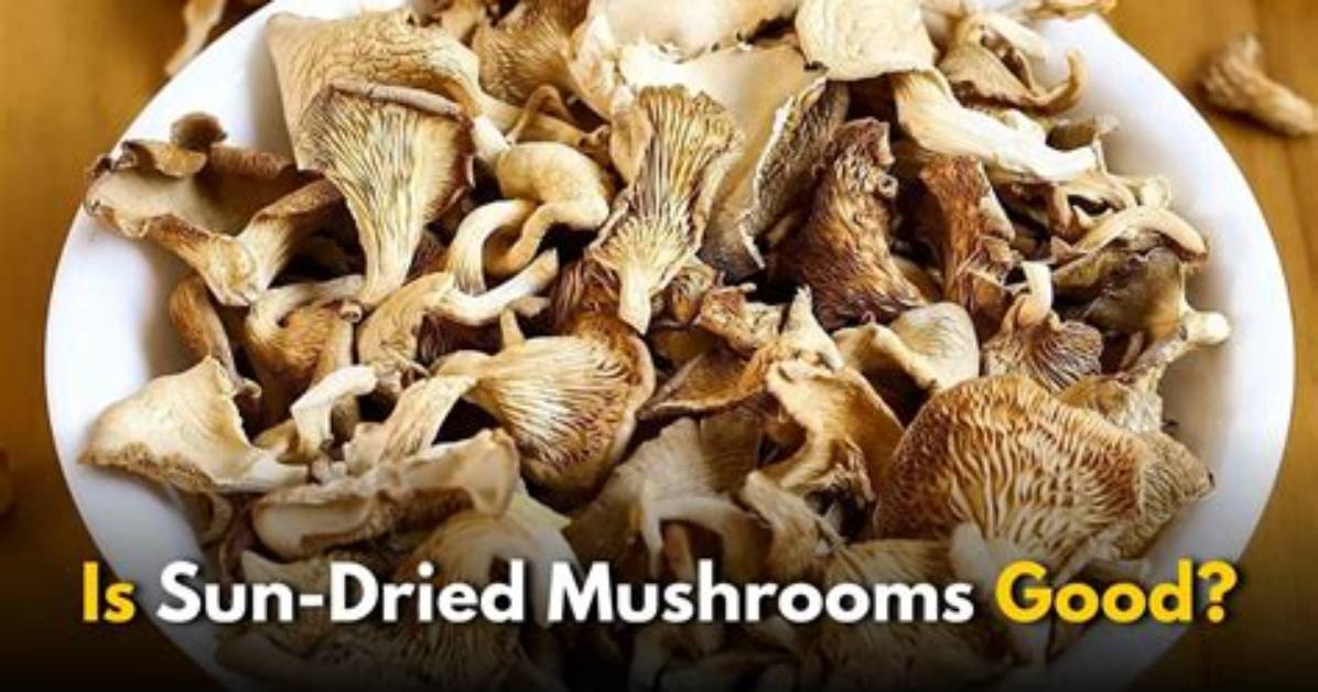 Should You Put Mushrooms in the Sun?