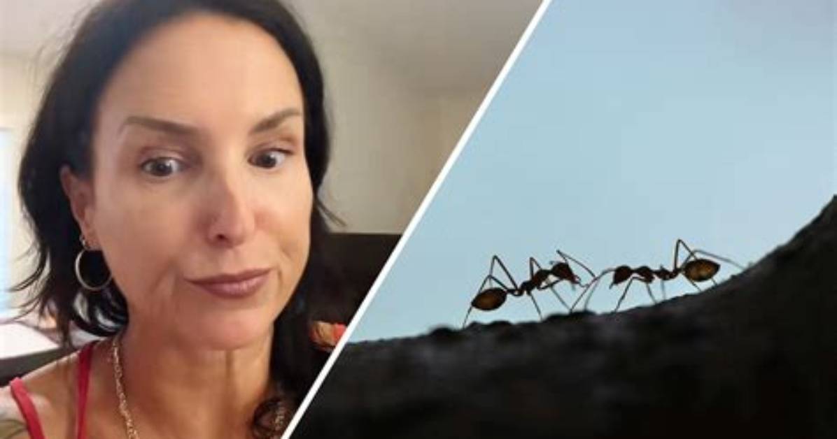 Should You Squish Ants?