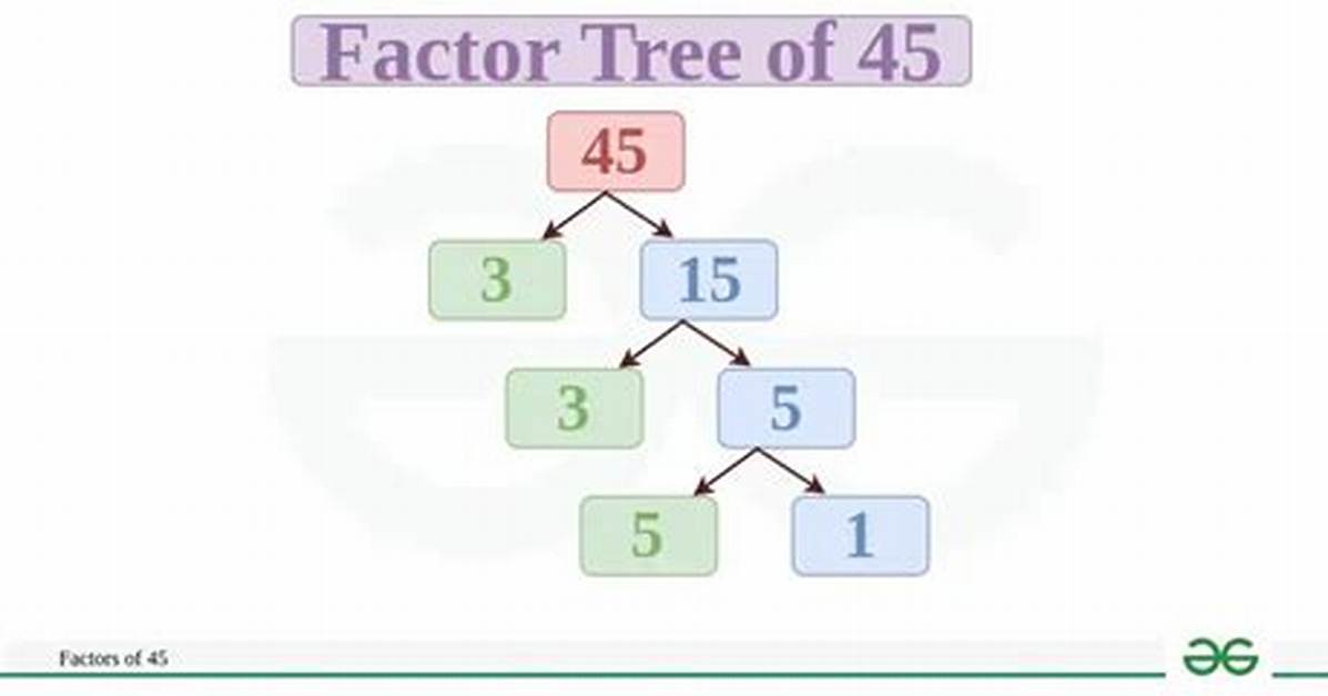 Show Factorization for 15