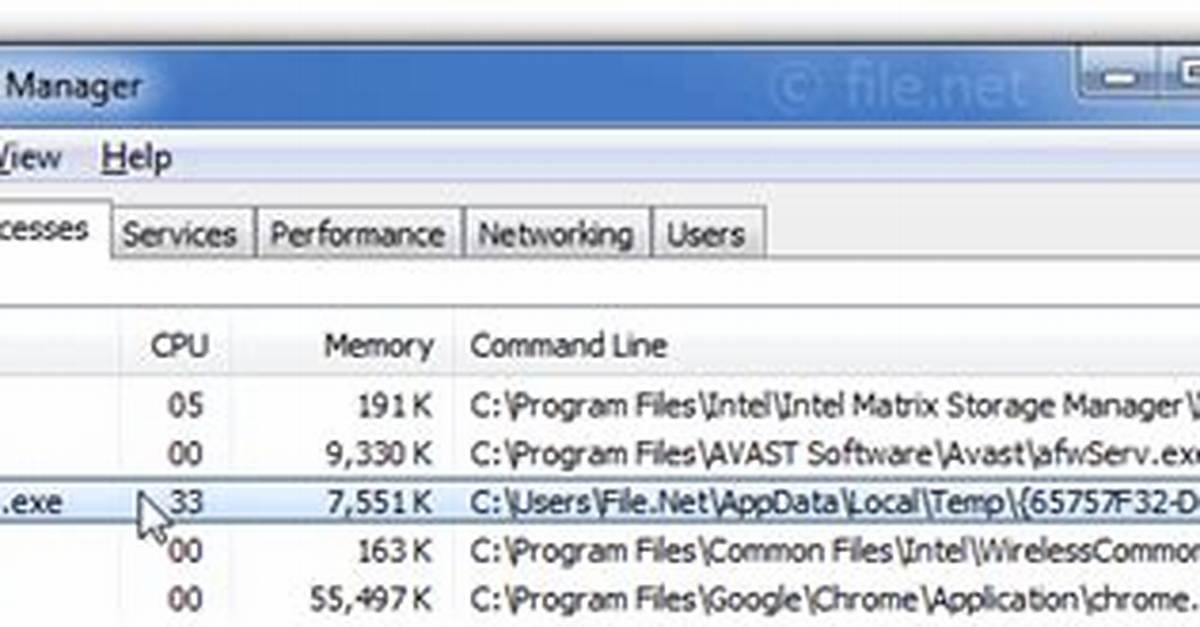 Silent. Exe Windows Process – What Is It?
