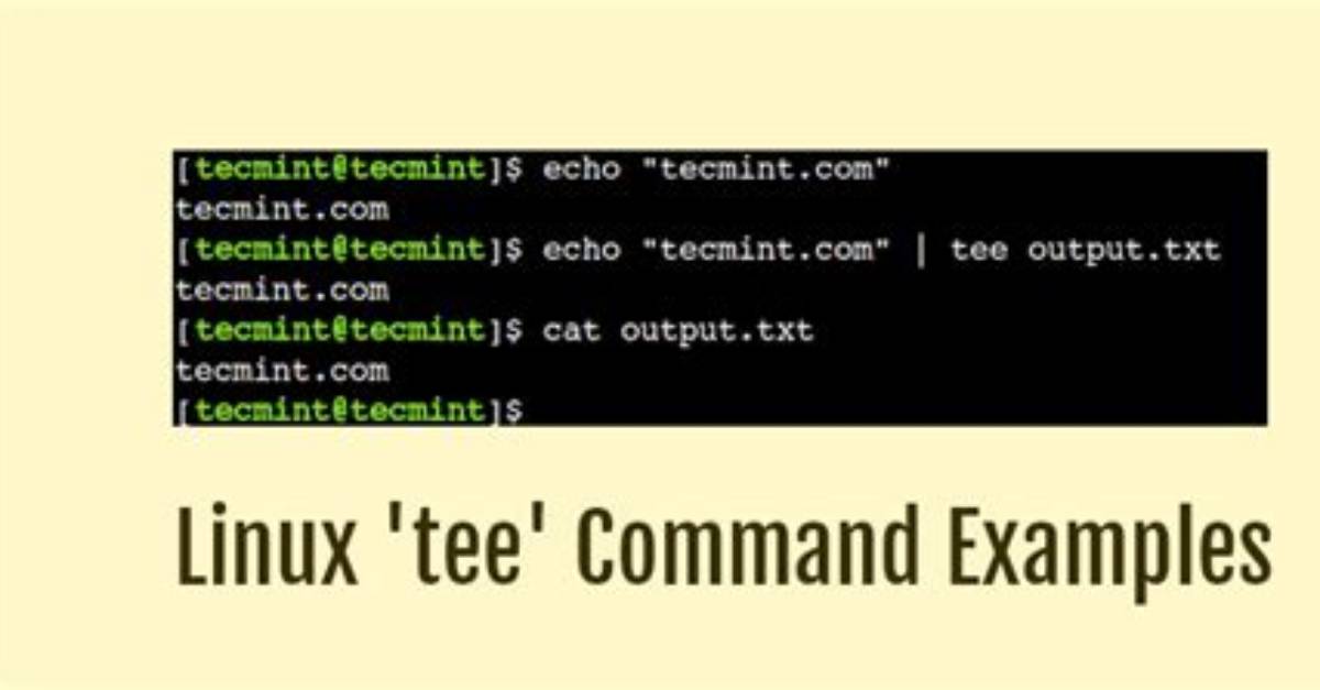 Simulate the Linux Command Tee in C